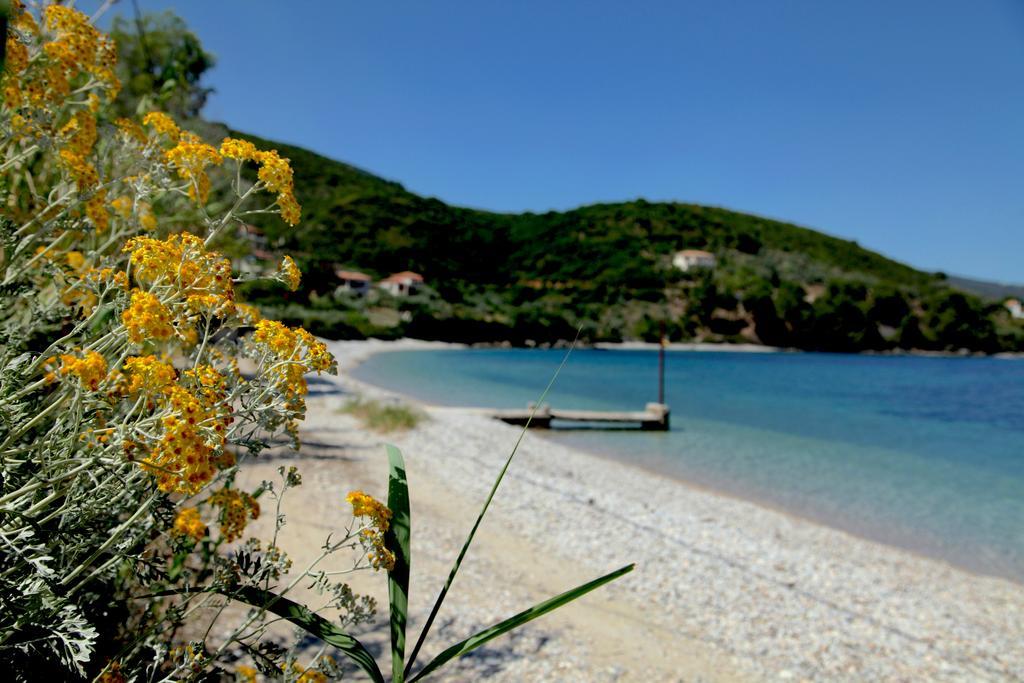 Casa Kalypso Suites & Villa Steni Vala Alonissos ภายนอก รูปภาพ